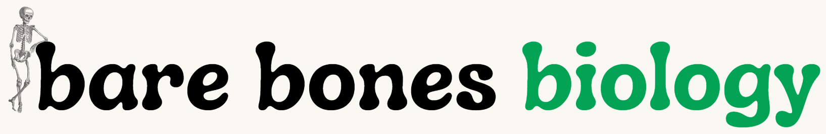 Bare Bones Biology