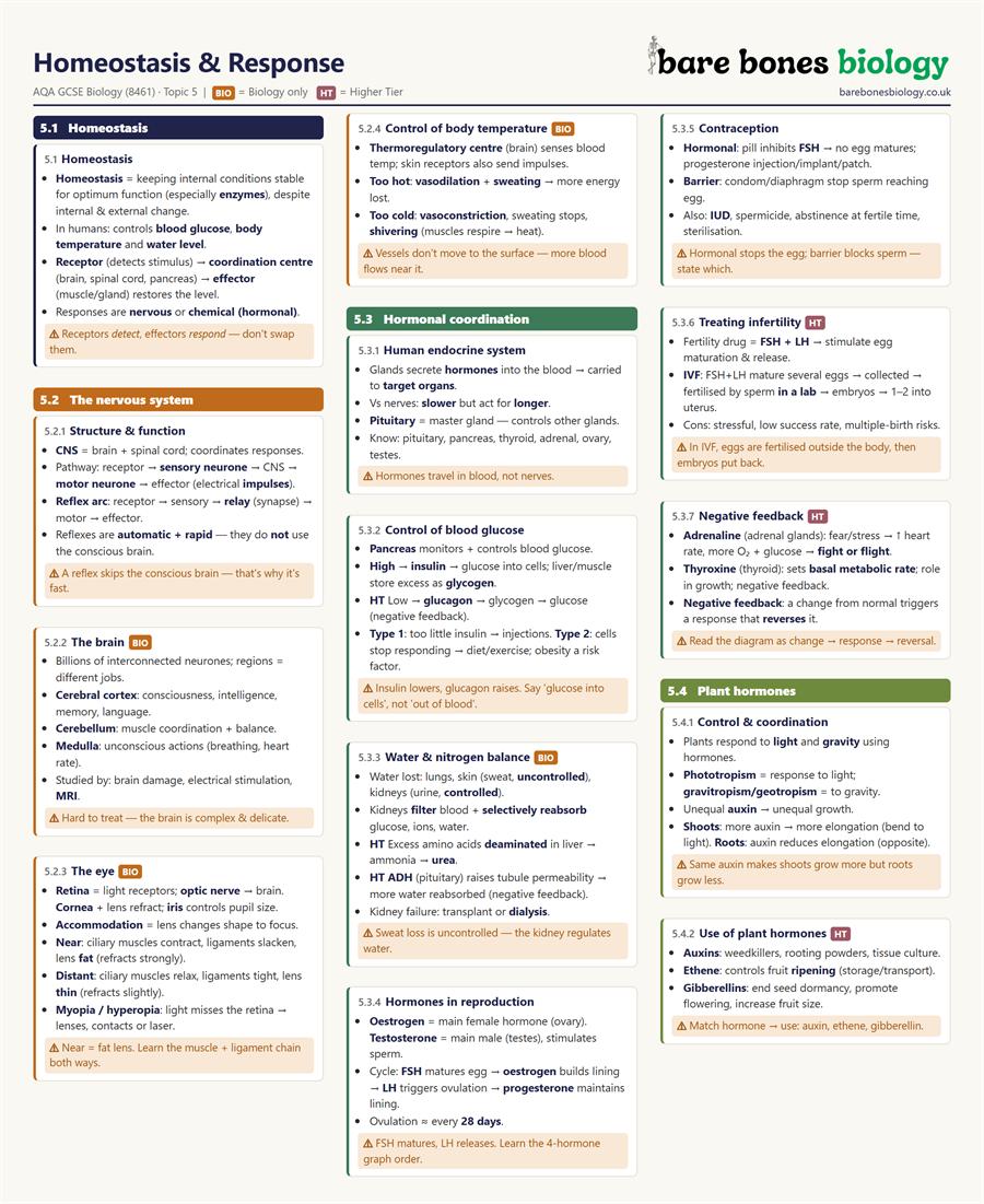 Preview of Unit 5 Knowledge Organiser — Homeostasis & Response